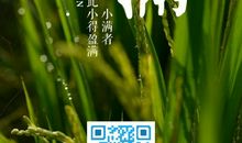 与节气有关的小满谚语