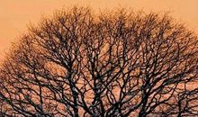 正能量事业的句子经典语句