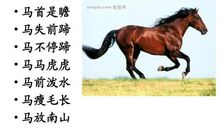 搞笑的马年祝福语