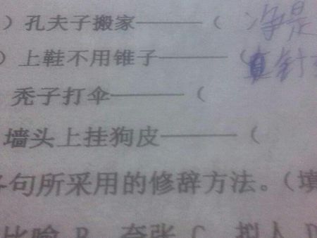 挂在墙上的狗小精灵