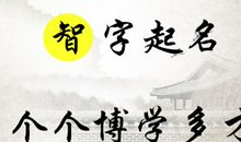 足智多谋造句大全