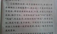 关于景物比喻句