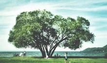 抖音里的哲理句子