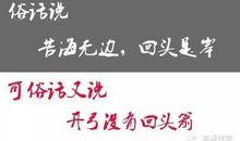 骆驼的谚语英文