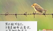 霸气座右铭兄弟