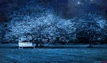 孤单的夜晚说说