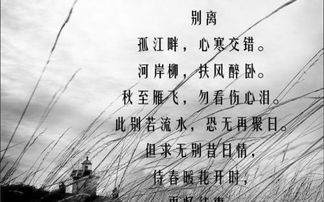 描述主持人的句子