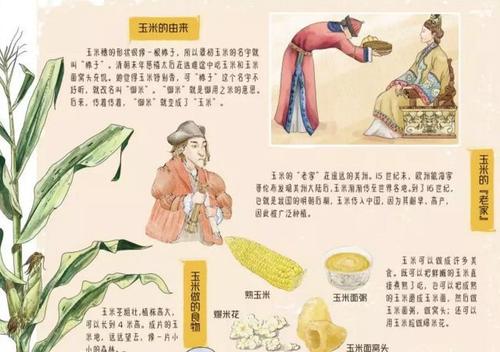 关于农业的谚语