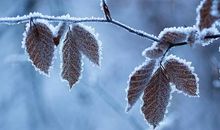 优美的拟人句长