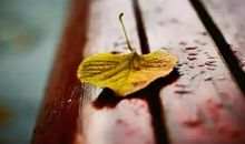 经典感悟句子句句穿心