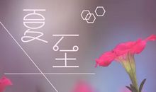 有关夏至的谚语