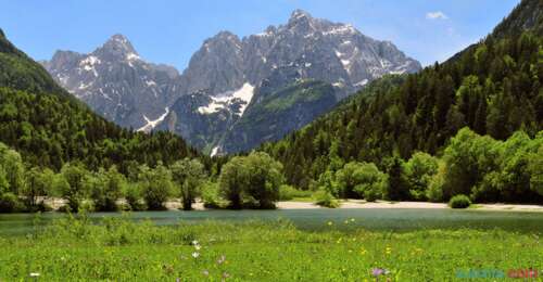 写一首关于乡村风光的诗