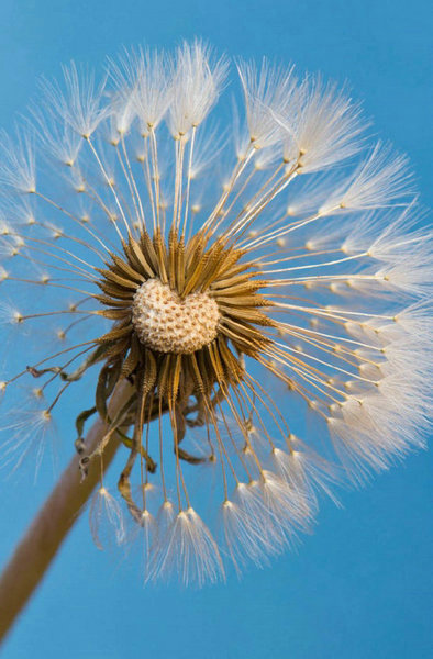 谈论情感句子的空间，谈论情感图片的情感句子