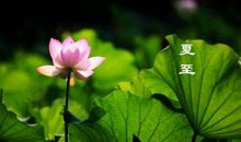 关于夏至的谚语