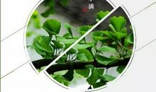 小满节气谚语大全