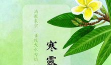 二十四节气农业谚语