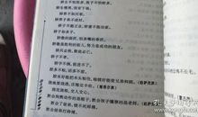 关于牛的俗语和谚语