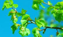 手机短信祝福语大全2019