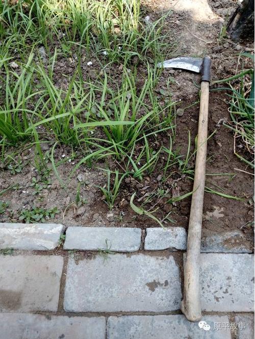 关于物候学的谚语