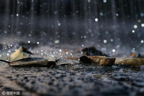 预言即将下雨的谚语