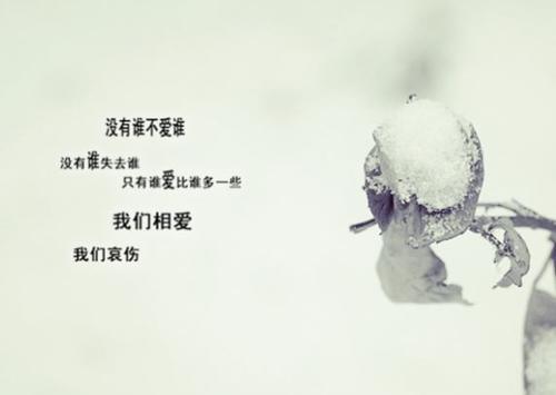 关于冬季美丽的一句话