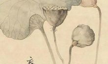 爱情诗词名句欣赏