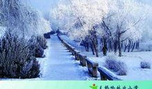 有关小寒的谚语