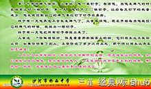 描写荷花的好句好段