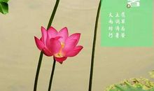 有关立冬的农业谚语