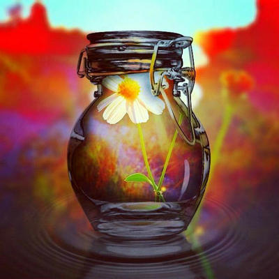 悲伤的句子与图片库谈论心情