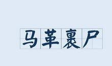 马革裹尸造句大全