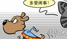 狗捉耗子歇后语