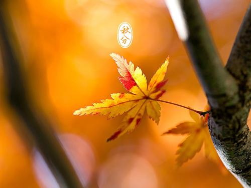 2019年对同学的问候