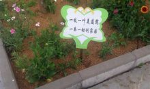 花坛的环保标语
