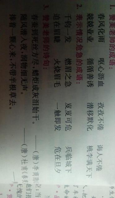 描述赞美老师的单词