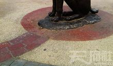 狗咬皮影子歇后语