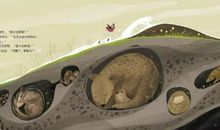 表明物候的谚语