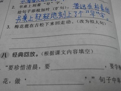 关于绵羊的拟人化句子