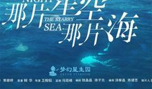 那片星空那片海好句