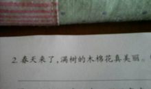 拟人句80字以上