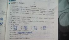 抄写一段拟人句