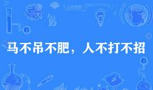 和马有关的谚语