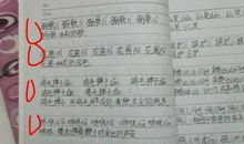 连什么都什么造句大全