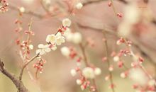 女人微信个性签名励志