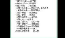 四大名著名人歇后语