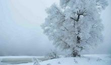 立冬易懂的谚语