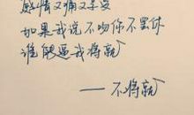 含有大道理的句子