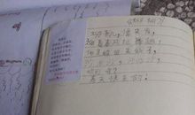 用柳条写比喻句