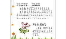 带十字的歇后语