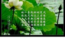 夏至的民间谚语